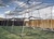 Atec Backyard Indoor / Outdoor Baseball Softball Batting Cage